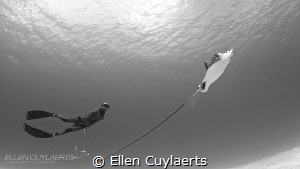Freediver meets Eagle Ray by Ellen Cuylaerts 